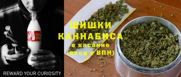 метадон Богородицк