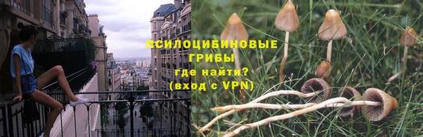 ешки Богородск