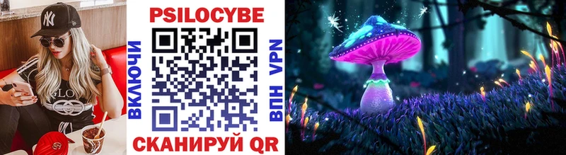 Галлюциногенные грибы Magic Shrooms  Городец 